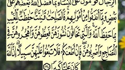 سورة النساء اية ٣٤ جمال القرش