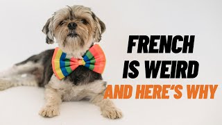 French is weird and here is why