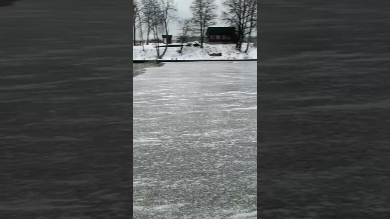 Балабаново платная рыбалка посейдон