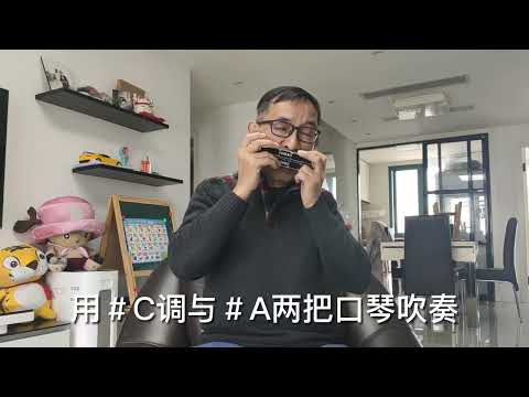 老郭吹口琴《漫步人生路》，＃C,＃A两个调的口琴完成。