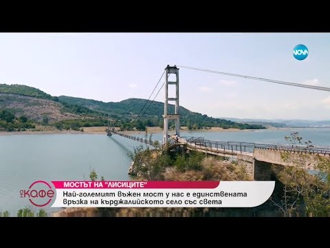 Видео: Защо мостът Голдън Гейт е висящ мост?