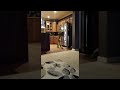 Spider Monkey Treat Time || ViralHog