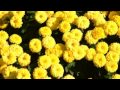 【作業用BGM】元気回復！癒しのピアノ曲集02(１時間)