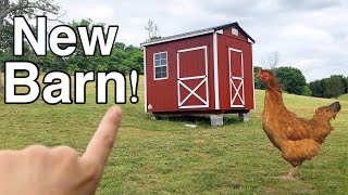 New Chicken Coop Barn Tour