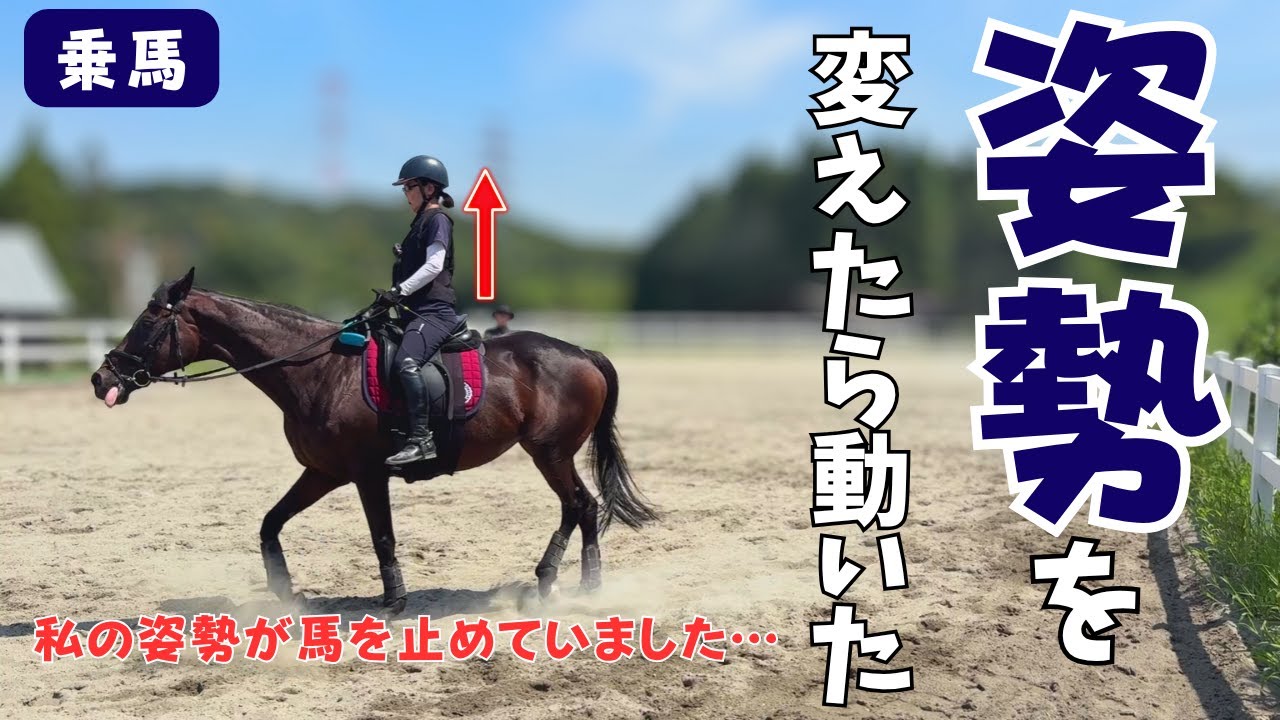 「乗馬」姿勢を変えたら動いた　私の姿勢が馬を止めていました・・・ #乗馬  #horse  #馬