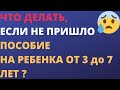 Что делать, если не пришло пособие на ребенка от 3 до 7 лет. Статус заявления на госуслугах.