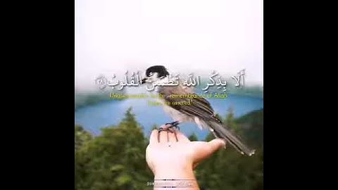 ايات من ذكر الله الحكيم 💚 اجمل تلاوه حالات وتساب قرأنيه