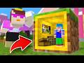 おかんから逃げるために1マスの秘密基地を作る【まいくら / マインクラフト】