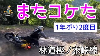 モトブログ＃67【クロスカブとモンキーで行く林道ツーリング】またコケました（1年ぶり2度目w）