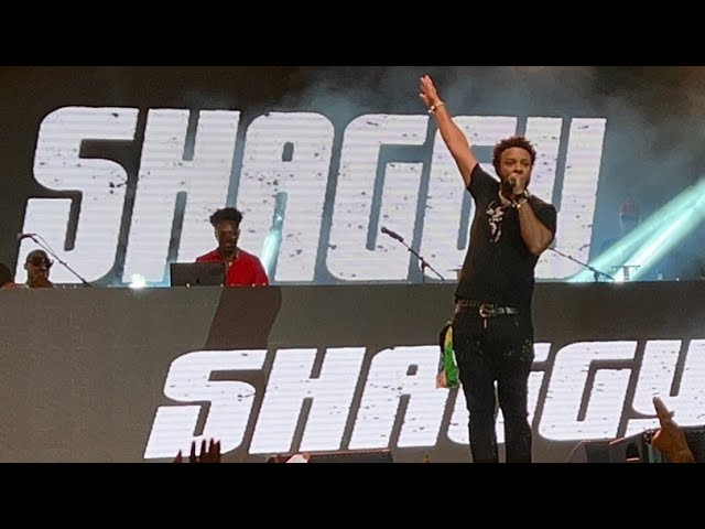 SHAGGY Performing Live At The "RISE UP NY" Show Sept. 2022 RARE PERFORMANCE "MR BOOMB