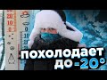 На Украину надвигается похолодание: когда ждать сильных морозов