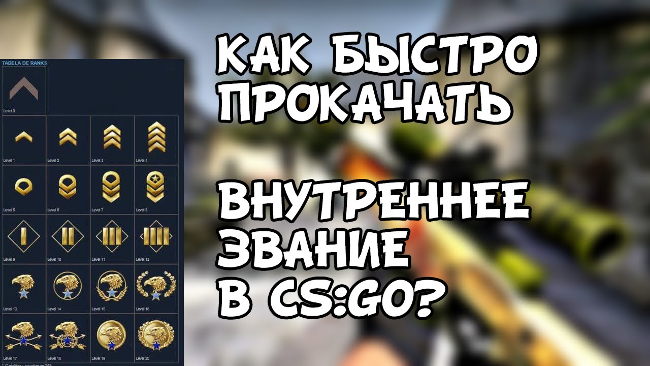 как быстро набить ранг в cs go как быстро набить ранг в cs go