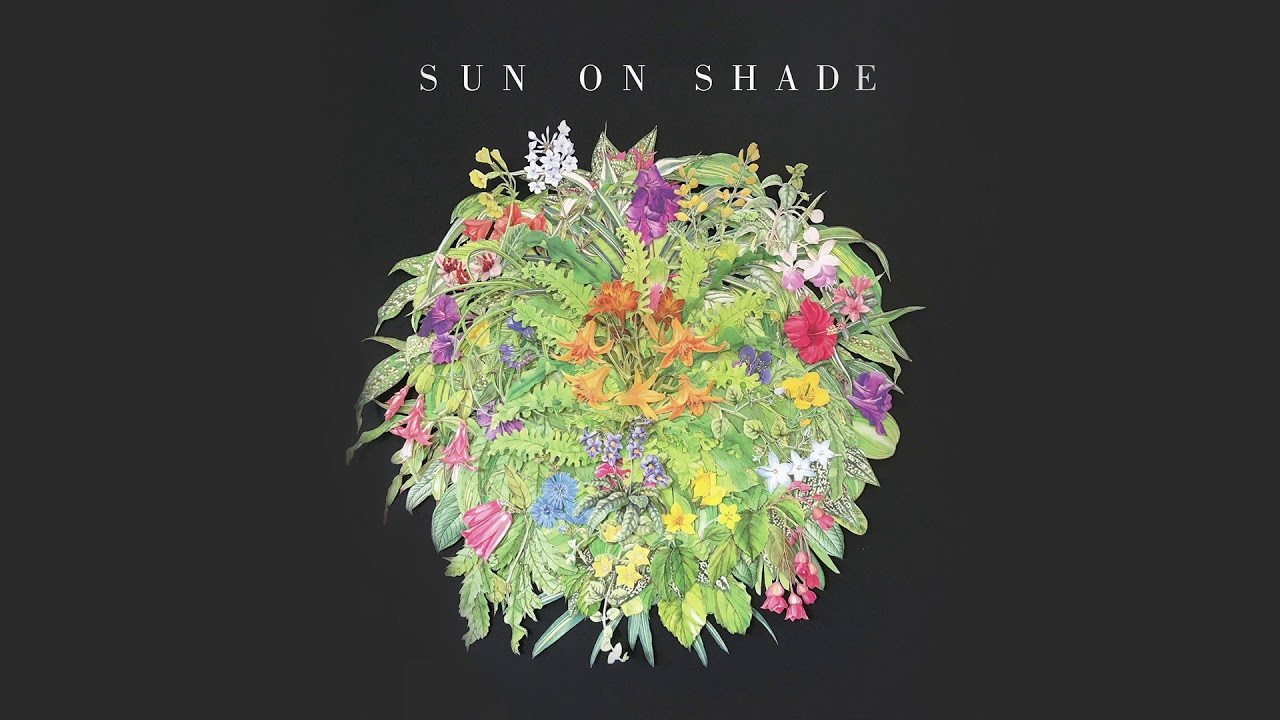 Sun On Shade - Z71 (featuring Sam Doores)