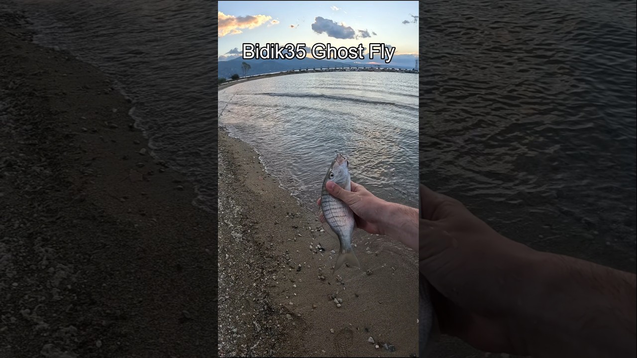 Μουρμούρα στο Bidik35 Ghost Fly! @Hookit. #fishing #ψάρεμα #bidik #hookit #fish