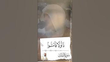 القارئ هيثم الدخين #قران_كريم #هيثم_الدخين #foryou #quran