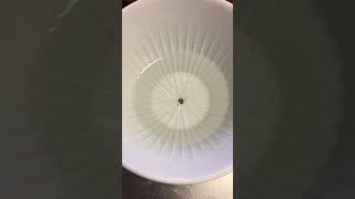 ブルーボトルコーヒー　ドリッパー透過スピード