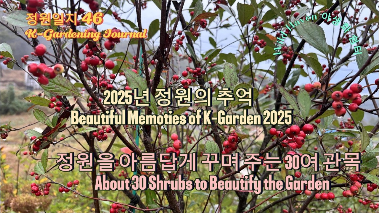 Воспоминания о K-Garden 2025: 30 прекрасных кустарников; Дикий оазис