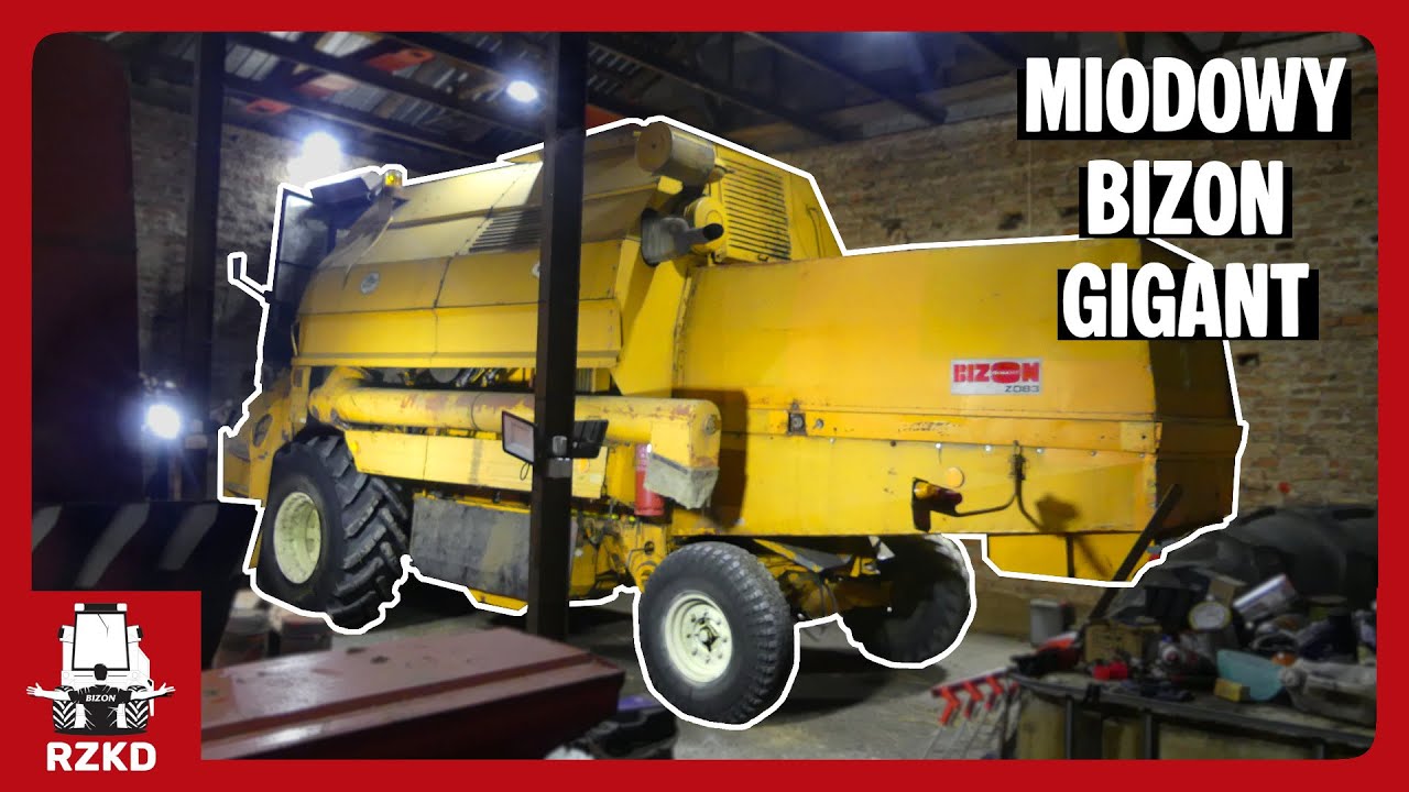 Miodowy BIZON GIGANT Z083 - Pan Darek kosi nim od 1997 roku!