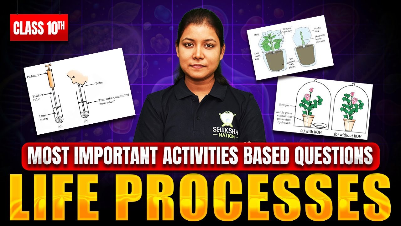 Life Processes Activities Based Questions 🔥 Class 10 Boards 2026 | Activities |Varsha Mam 