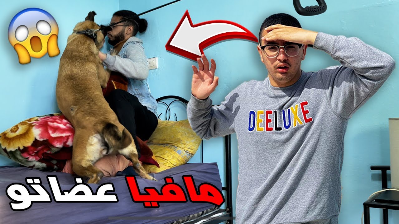 أخطر مقلب في صديقي حرشت عليه كلبة حتى عضاتو 😰 سخف بالخلعة مسكين 😱