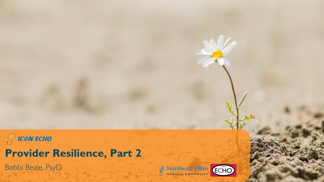 Provider Resilience - Part 2: IC@N ECHO