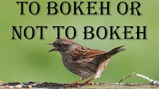 Bokeh or not to