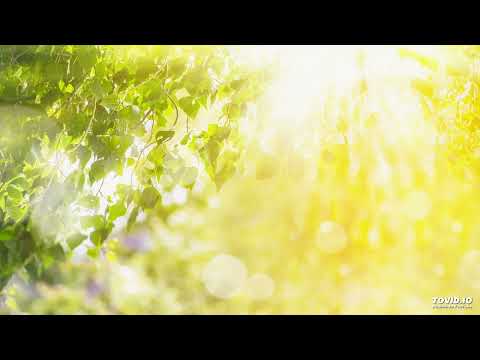 012שער העקודים פרק ג | Harav ariel sibeoni |  Kabbale | secrets de la Torah | ochrot hayim