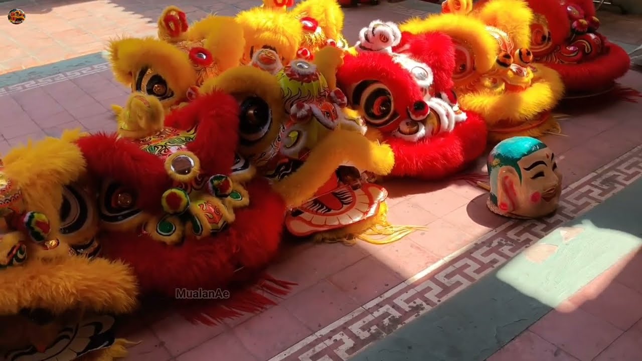 2026年 舞狮 越南忠山武道龙狮团 - 游行 - 开光点睛仪式