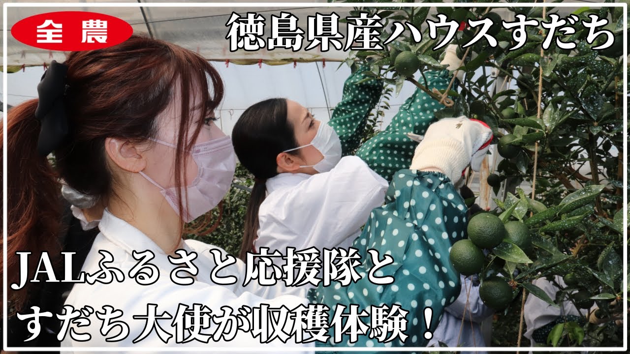 Jalふるさと応援隊とすだち大使がハウスすだちの収穫体験 Ja全農とくしま Youtube