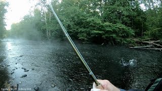 Fly fishing for big salmon - Early Morning Awakening by DrJohnTheAngler 5,661 views 5 years ago 5 minutes, 34 seconds