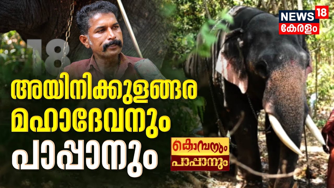 Kombanum Pappanum | കൊമ്പനും പാപ്പാനും | അയിനിക്കുളങ്ങര മഹാദേവനും പാപ്പാൻ  ബാബുവും | Ayinikulangara