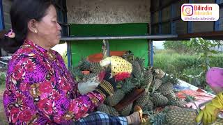 Vyetnam Haqda Maraqlı Məlumatlar