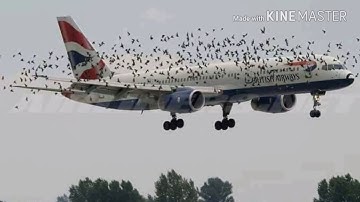 15 Moments You Wouldn