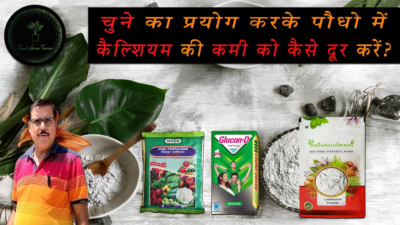 Chuna ka paudho me prayog limestone (quick lime) uses in plants