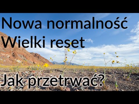 Nowa normalność, nowy