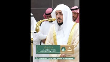 تلاوة هادئة لفضيلة الشيخ د. #الوليد_الشمسان ﴿قال سلام عليك سأستغفر لك ربي إنه كان بي حفيا﴾