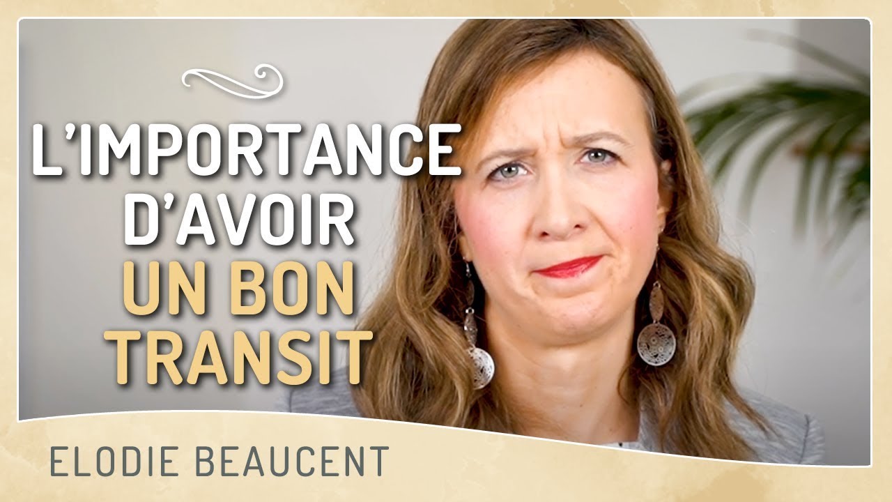 L’IMPORTANCE d’avoir un bon transit - YouTube