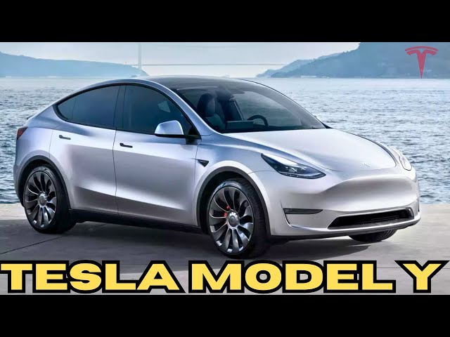 2024 Tesla Model Y: 56 Exterior Photos