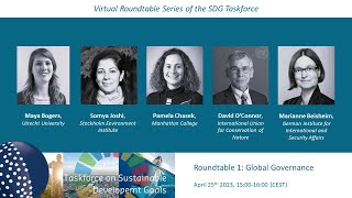 Global Governance - SDG Taskforce Virtual Roundtable Series