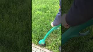 IMG 8654