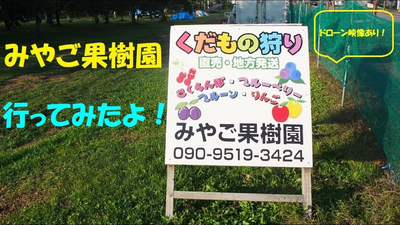 みやご果樹園行ってみたよ!北海道函館(令和元年)(ドローン空撮あり) #みやご果樹園 #北海道 #函館 #西洋リンゴ#函館移住クラブ #北海道ドローン #函館ドローン