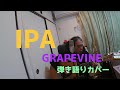 IPA cover グレイプバイン GRAPEVINE  間違えてもマイペースで気軽に弾き語りカバー(音質調整)