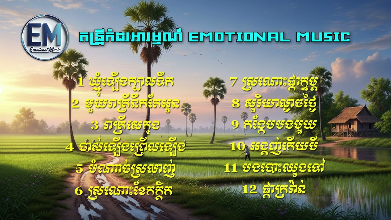 12 បទ ពីរោះៗ ( តន្ត្រីកំដរអារម្មណ៍ - Emotional Music ) ចាក់ក្នុងហាង