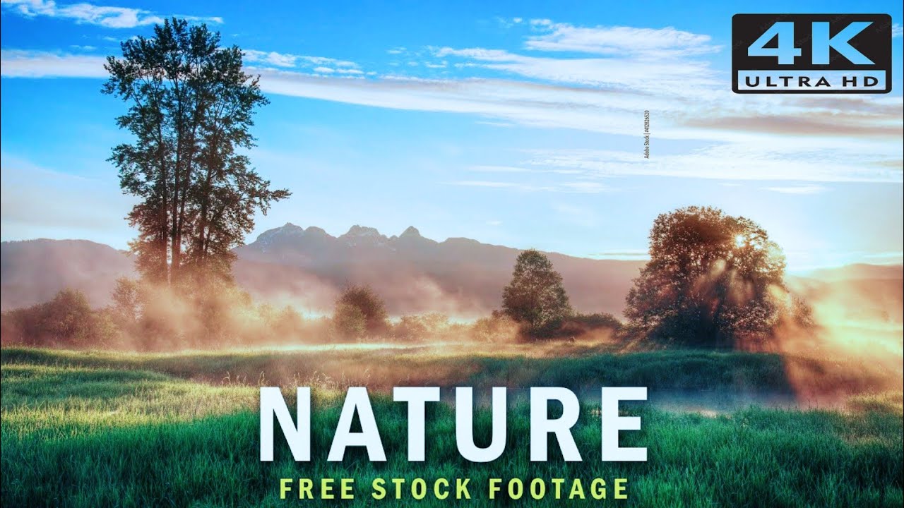 No Copyright stock footage Video//4k Natural/wild animal //Drone footage //