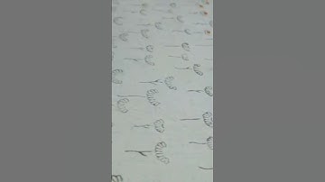 Discover the Art of Bagru Printing: Step-by-Step Tutorial #traditionalcarfts