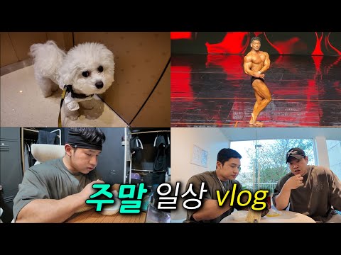 현재 리저널 시합 응원 (주말 vlog)