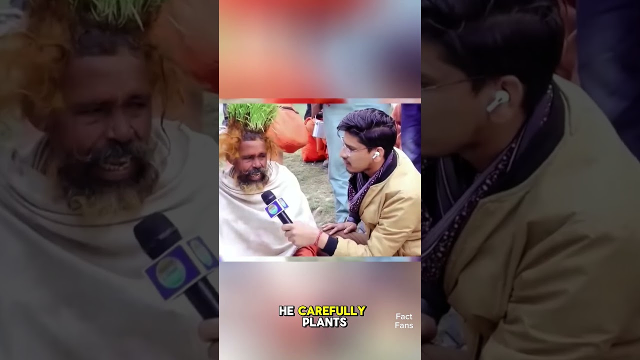 The man who grow rice amaizingly 