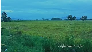 FRIED CHICKEN STATION | ANG FRIED CHICKEN  UG UBAN PANG LAMIANG PAGKAON  NAA SA  DIGOS |DIGOS PRIDE
