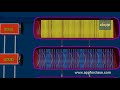 Speed of sound through solids liquids and gases