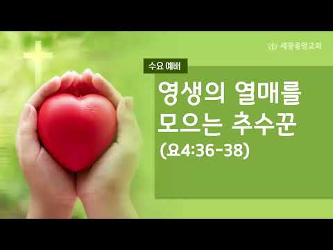 2022.05.11(수) 영생의 열매를 모으는 추수꾼 - 박채영 목사